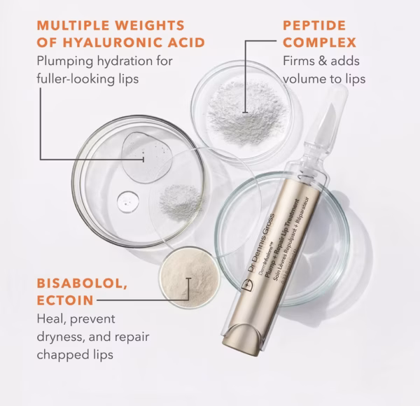 Dr. Dennis Gross DermInfusions™ Plump + Repair Lip Treatment New Mini - Bilde 2